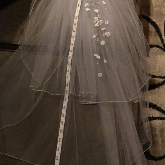 Veil - Picture 6 of 6